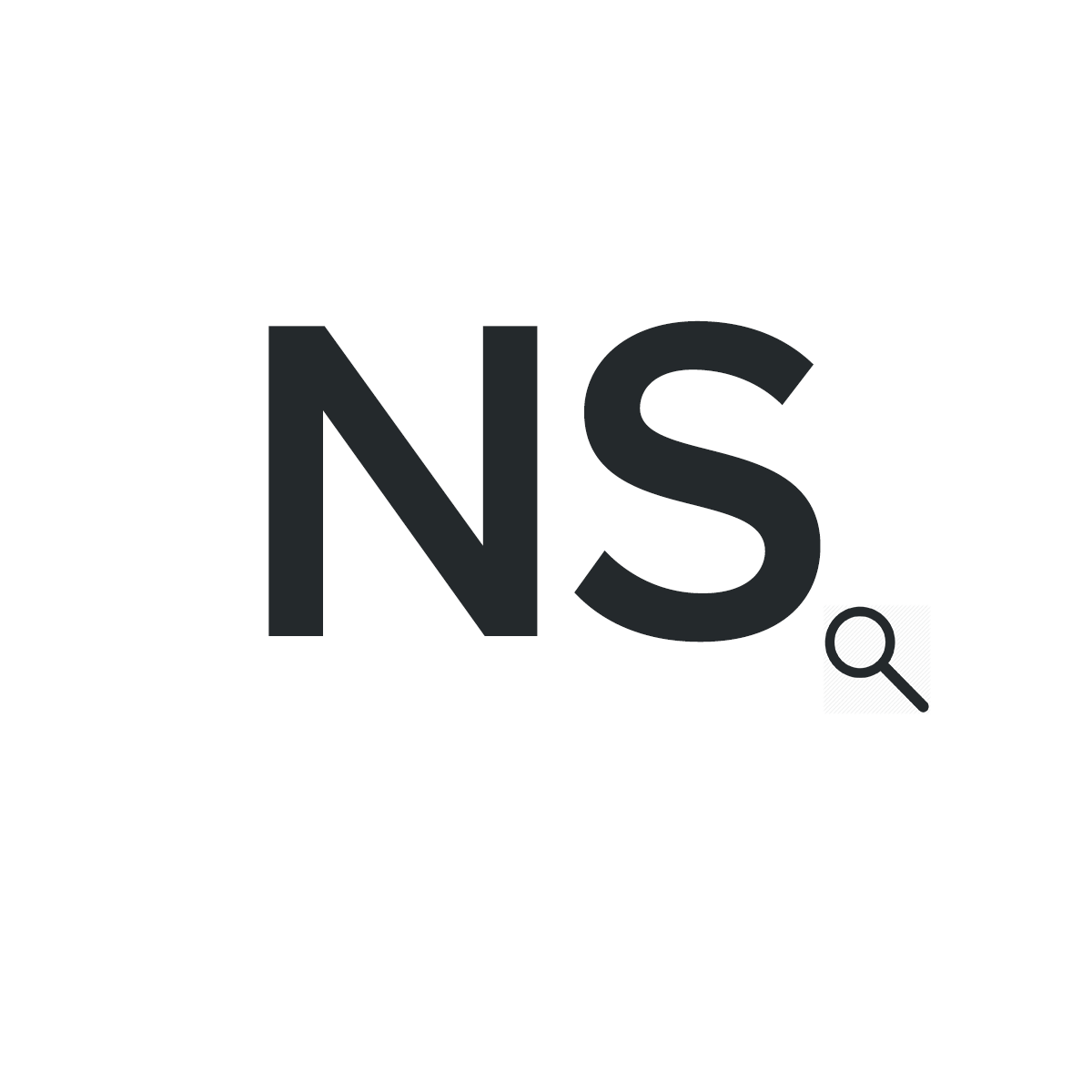 nett solutions logo white